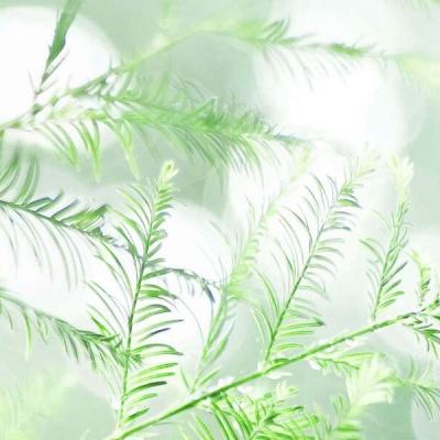 qq御剑手机版下载